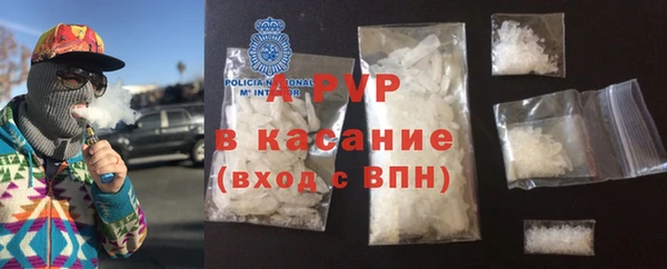 стаф Белокуриха