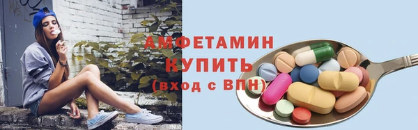 стаф Белокуриха