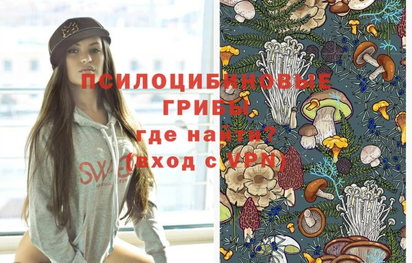 дурь Снежногорск