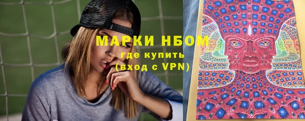 стаф Белокуриха