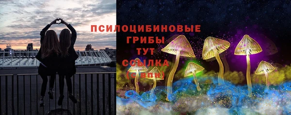 стаф Белокуриха