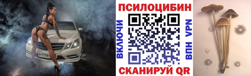 Псилоцибиновые грибы MAGIC MUSHROOMS  магазин    Павловск 